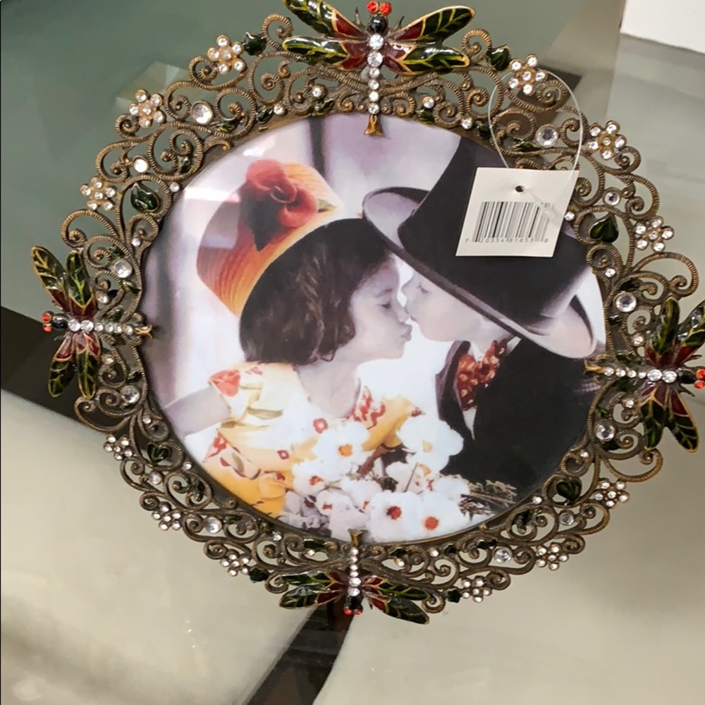 Dragon Flies Round Frame NWT